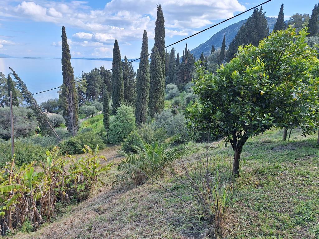 Haus in Korfu, Griechenland, 150 m² - Foto 19