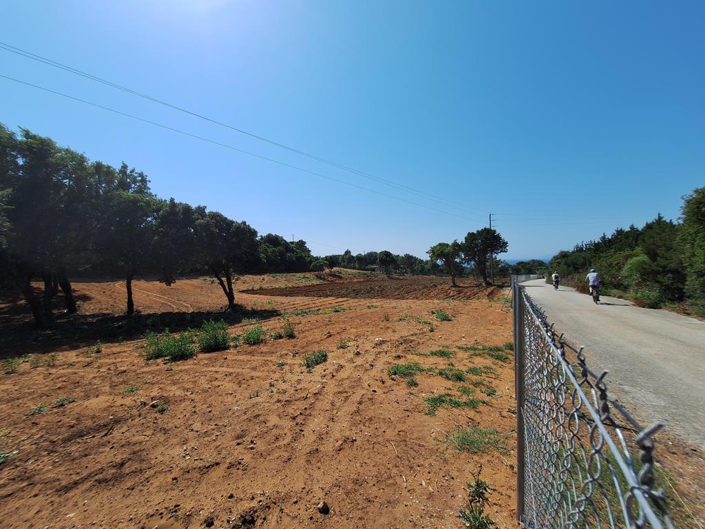 Land in Corfu, Greece, 5 064 m² - picture 19