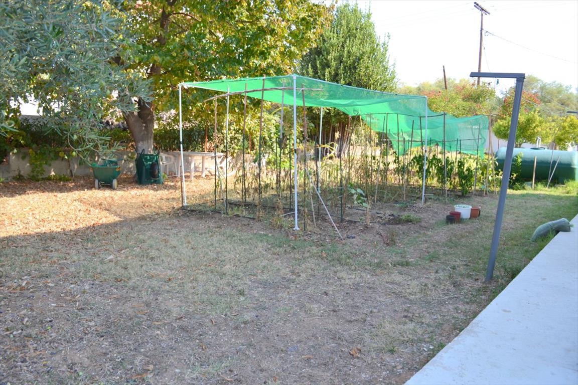 House in Kassandra, Greece, 200 m² - picture 19