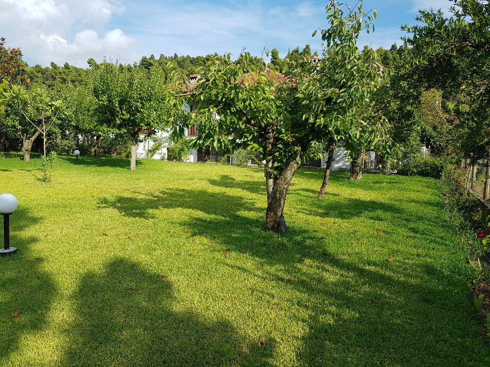 Haus in Kassandra, Griechenland, 305 m² - Foto 19