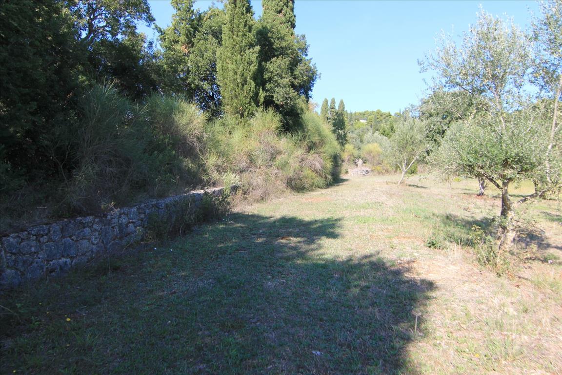 Land in Corfu, Greece, 27 750 m² - picture 19