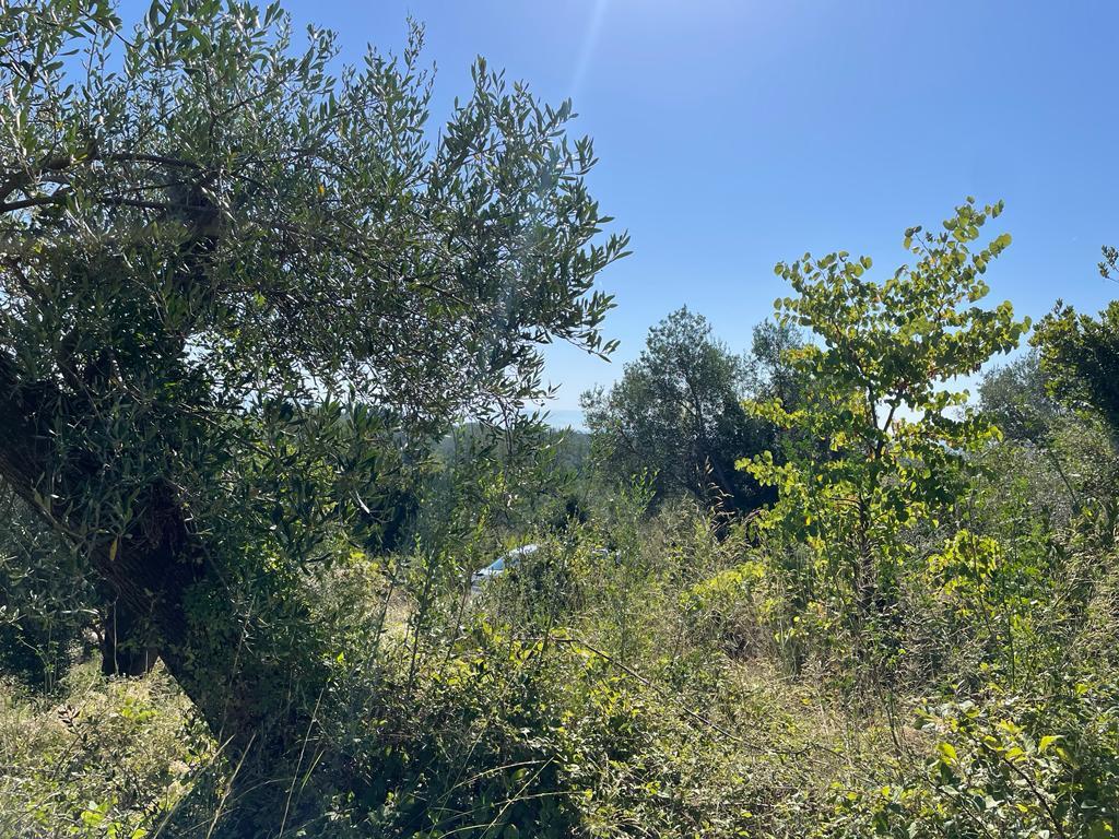 Terreno a Corfù, Grecia, 2 569 m2 - foto 19