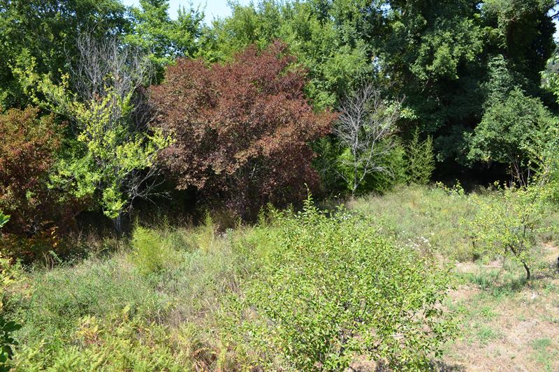 Casa en Corfú, Grecia, 400 m² - imagen 19