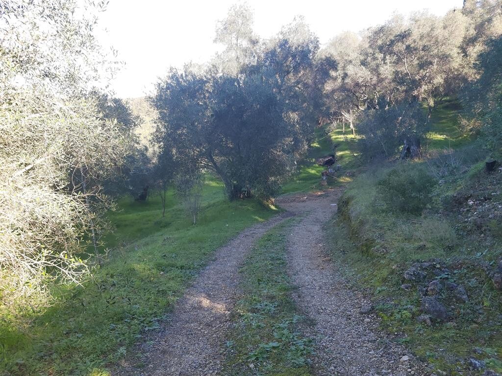 Terreno en Corfú, Grecia, 7 000 m² - imagen 19