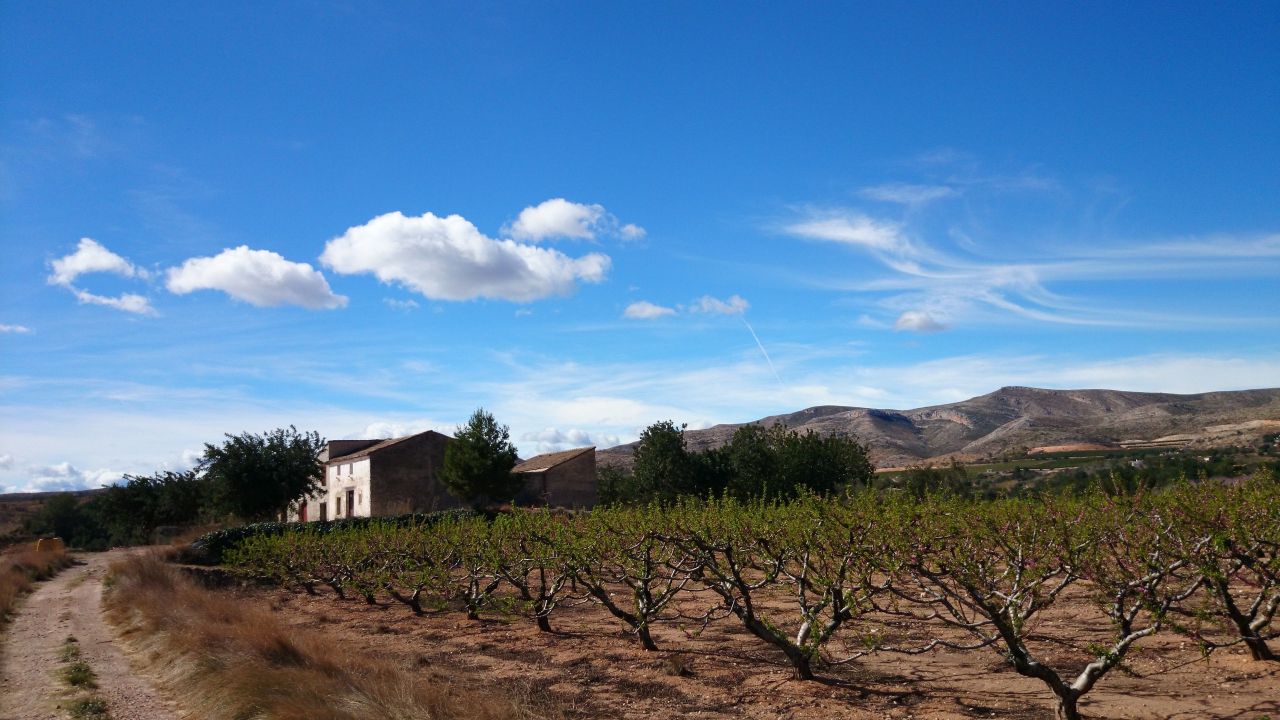 Maison en rénovation à Valence, Espagne, 488 m² - image 4