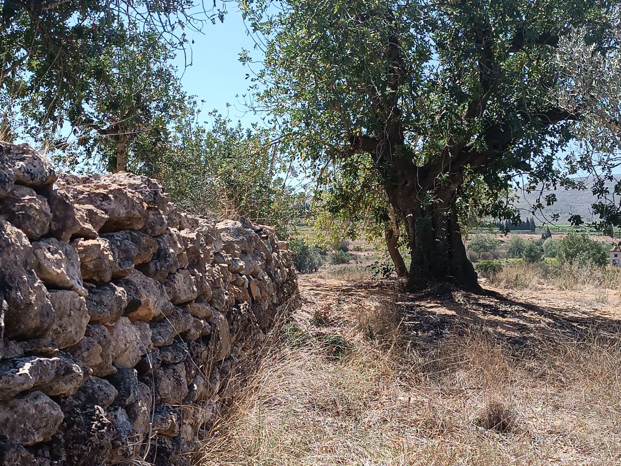 Maison en rénovation à Valence, Espagne, 488 m² - image 14