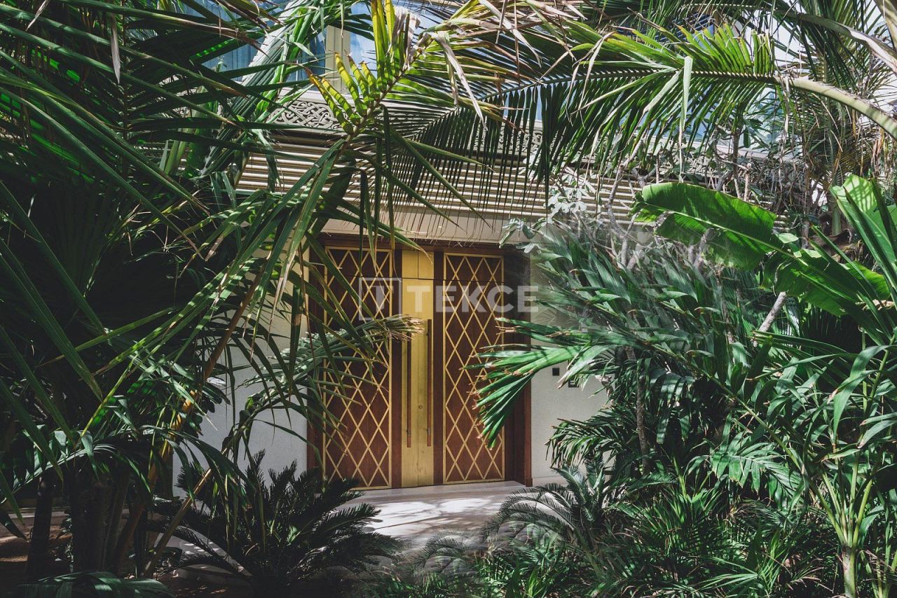 Mansion The World Islands, UAE, 2 600 m² - picture 15