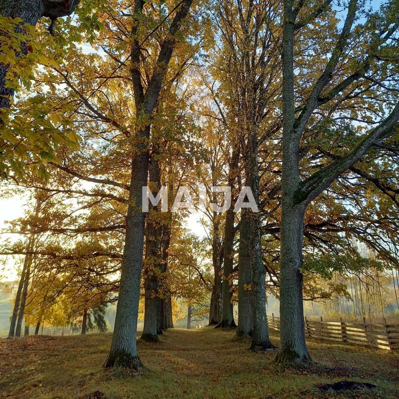 Villa Vandzene, Lettonia, 1 250 m² - foto 8