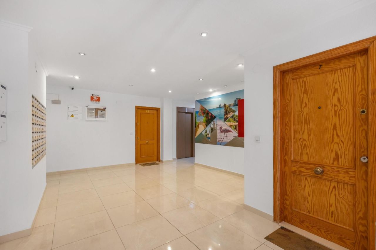 Studio in Torrevieja, Spanien, 32 m² - Foto 15