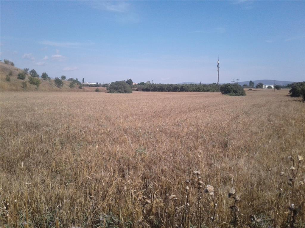 Grundstück in Thessaloniki, Griechenland, 15 000 m² - Foto 1