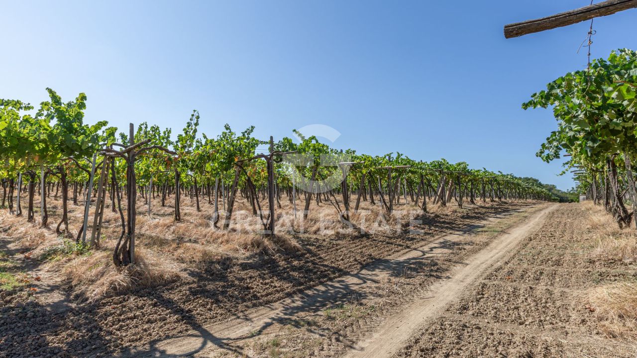 Casa a Cortona, Italia, 466.45 m² - foto 4