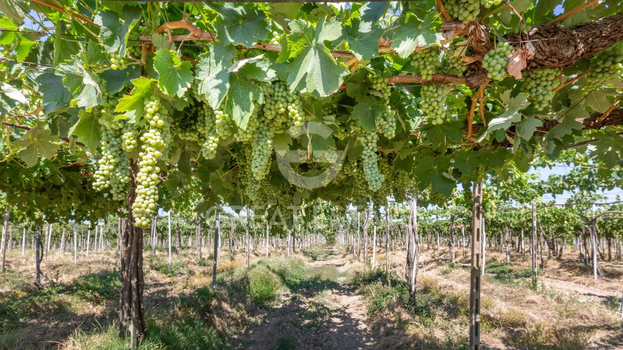 Casa a Cortona, Italia, 466.45 m² - foto 5