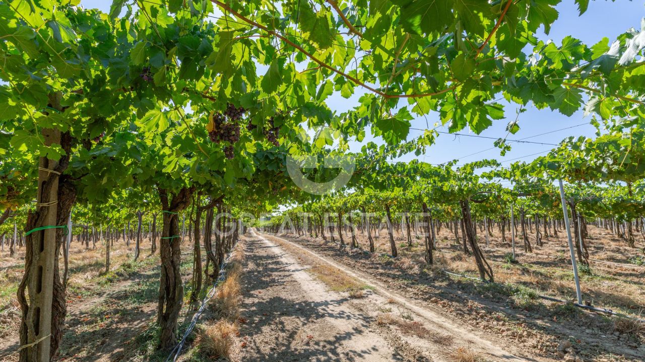 Casa a Cortona, Italia, 466.45 m² - foto 6