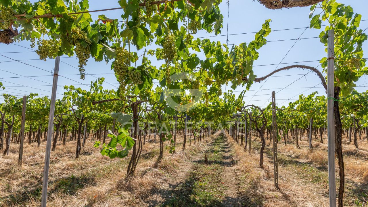 Casa a Cortona, Italia, 466.45 m² - foto 7