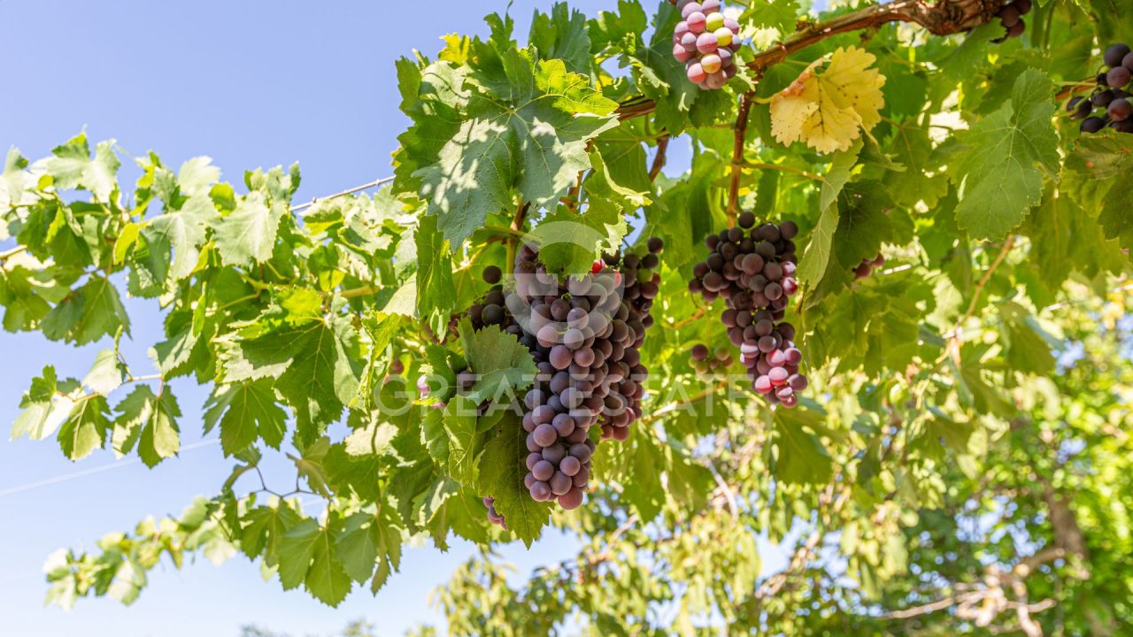 Casa a Cortona, Italia, 466.45 m² - foto 8