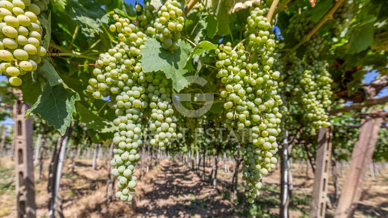 Casa a Cortona, Italia, 466.45 m² - foto 9