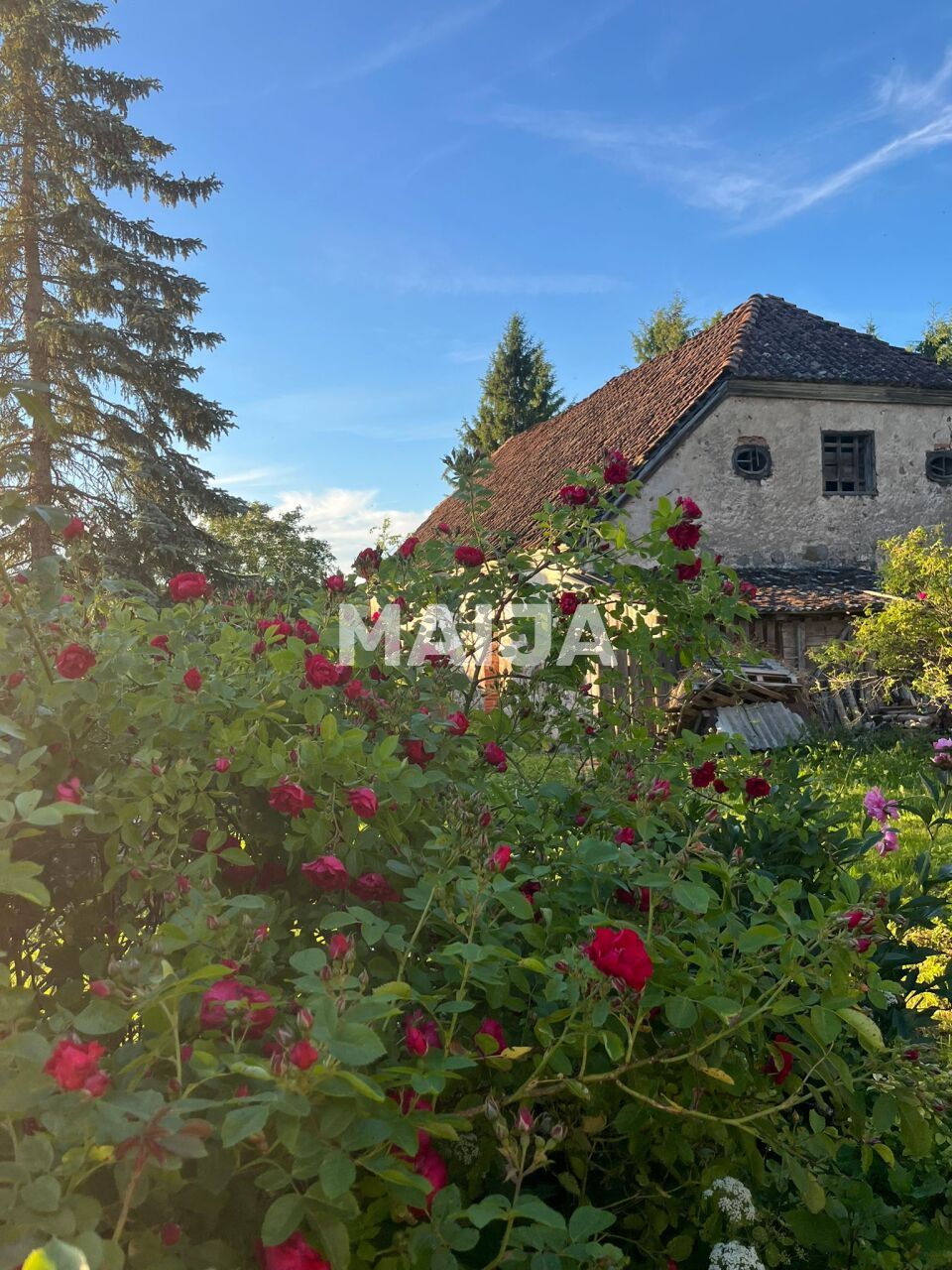 Villa Vandzene, Lettonia, 1 250 m² - foto 3