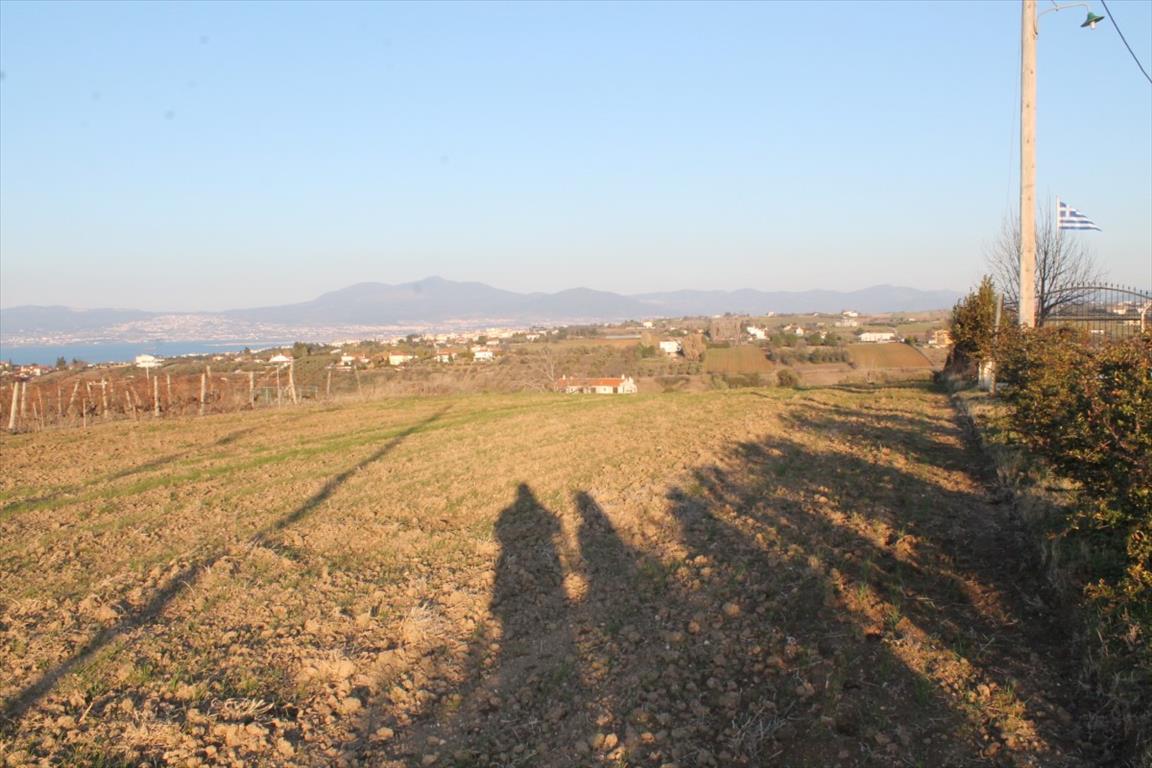 Land in Thessaloniki, Greece, 14 400 m² - picture 1