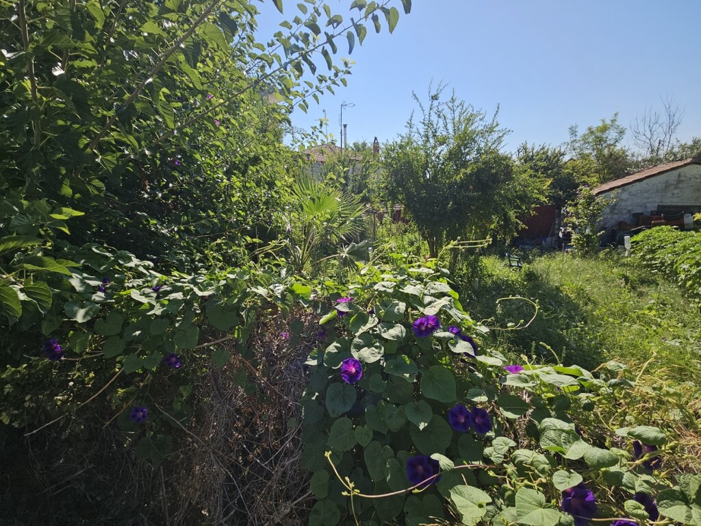 Terreno en Kassandra, Grecia, 94 m² - imagen 1