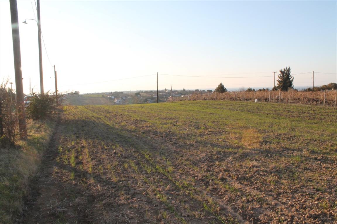 Terreno a Salonicco, Grecia, 14 400 m2 - foto 3