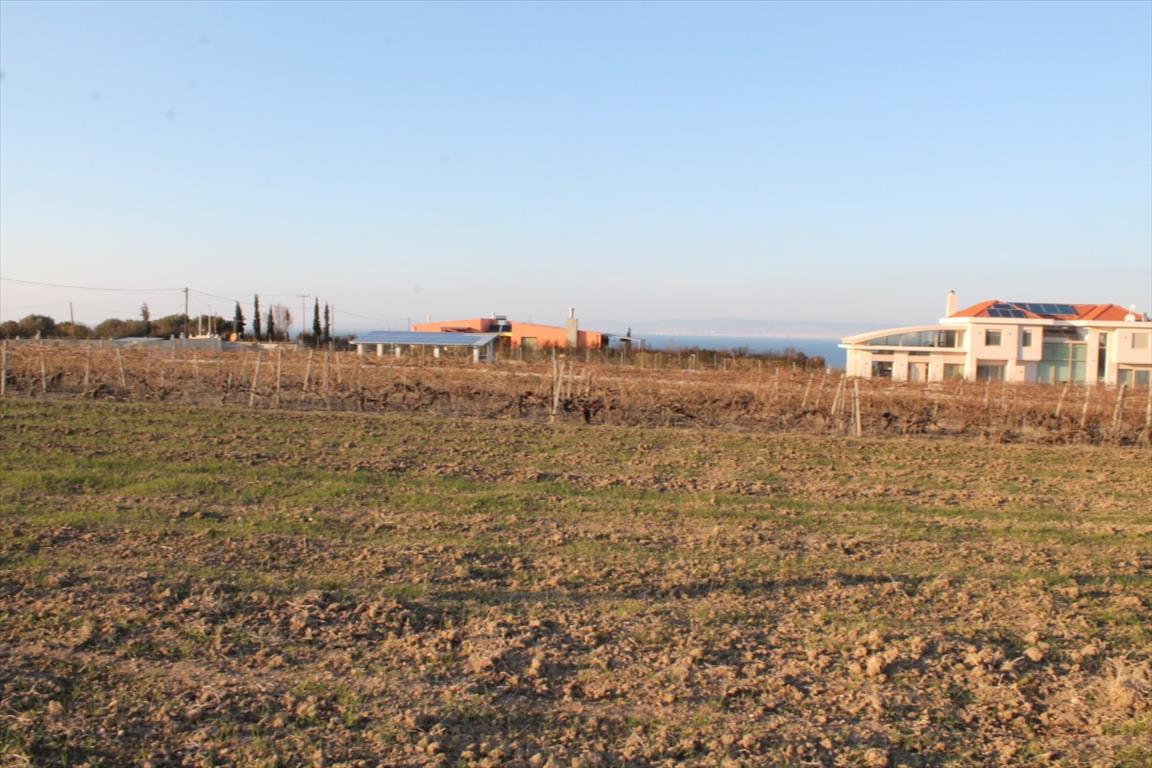 Terreno a Salonicco, Grecia, 14 400 m2 - foto 4