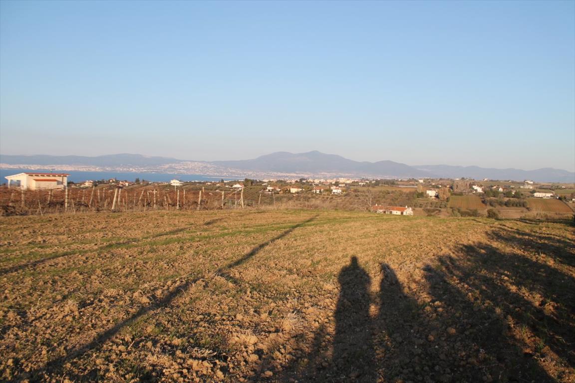 Terreno a Salonicco, Grecia, 14 400 m2 - foto 6
