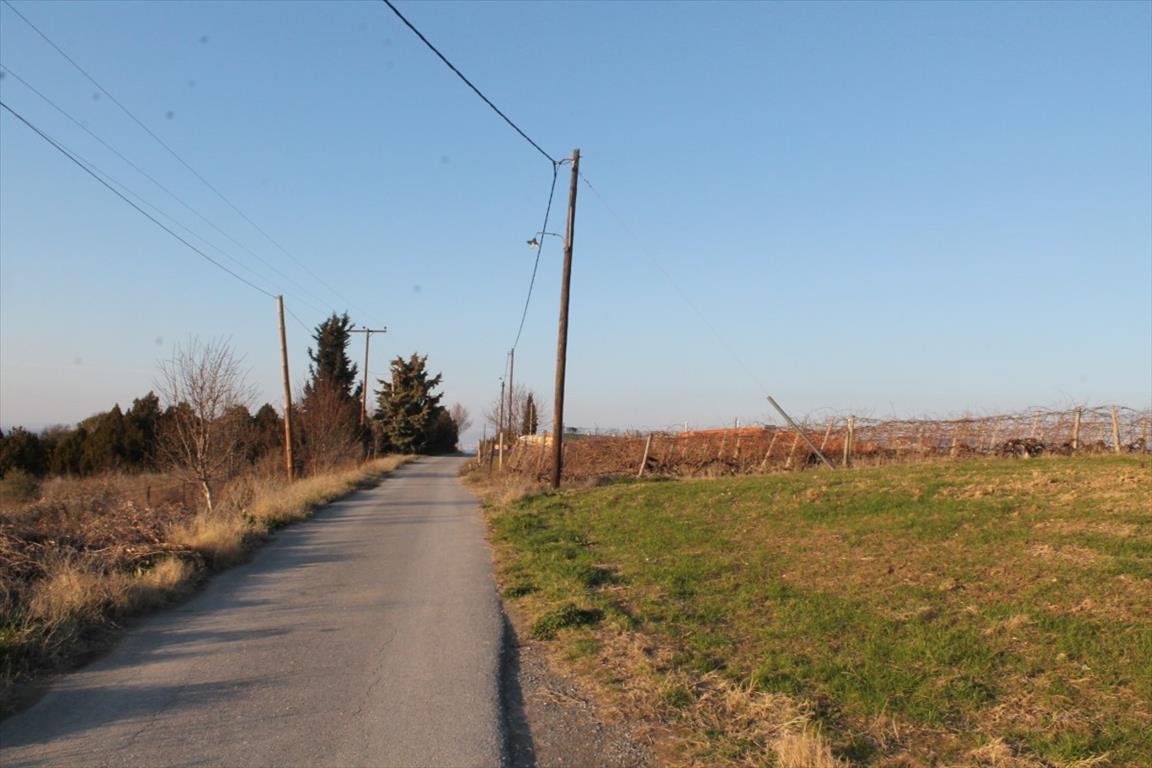 Terreno a Salonicco, Grecia, 14 400 m2 - foto 7