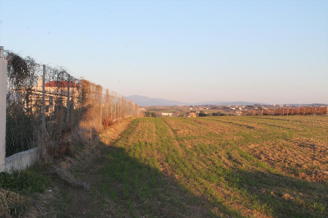 Terreno a Salonicco, Grecia, 14 400 m2 - foto 8