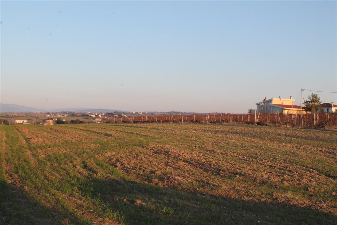 Terreno a Salonicco, Grecia, 14 400 m2 - foto 9