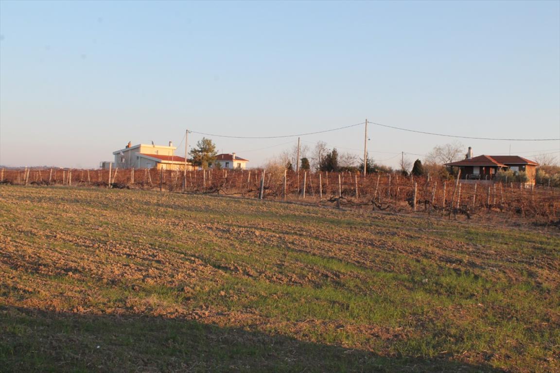 Terreno a Salonicco, Grecia, 14 400 m2 - foto 10