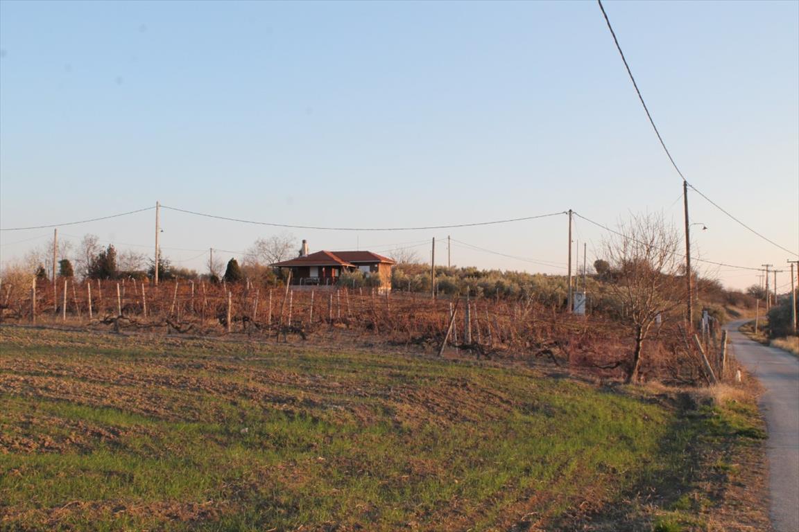 Terreno a Salonicco, Grecia, 14 400 m2 - foto 11