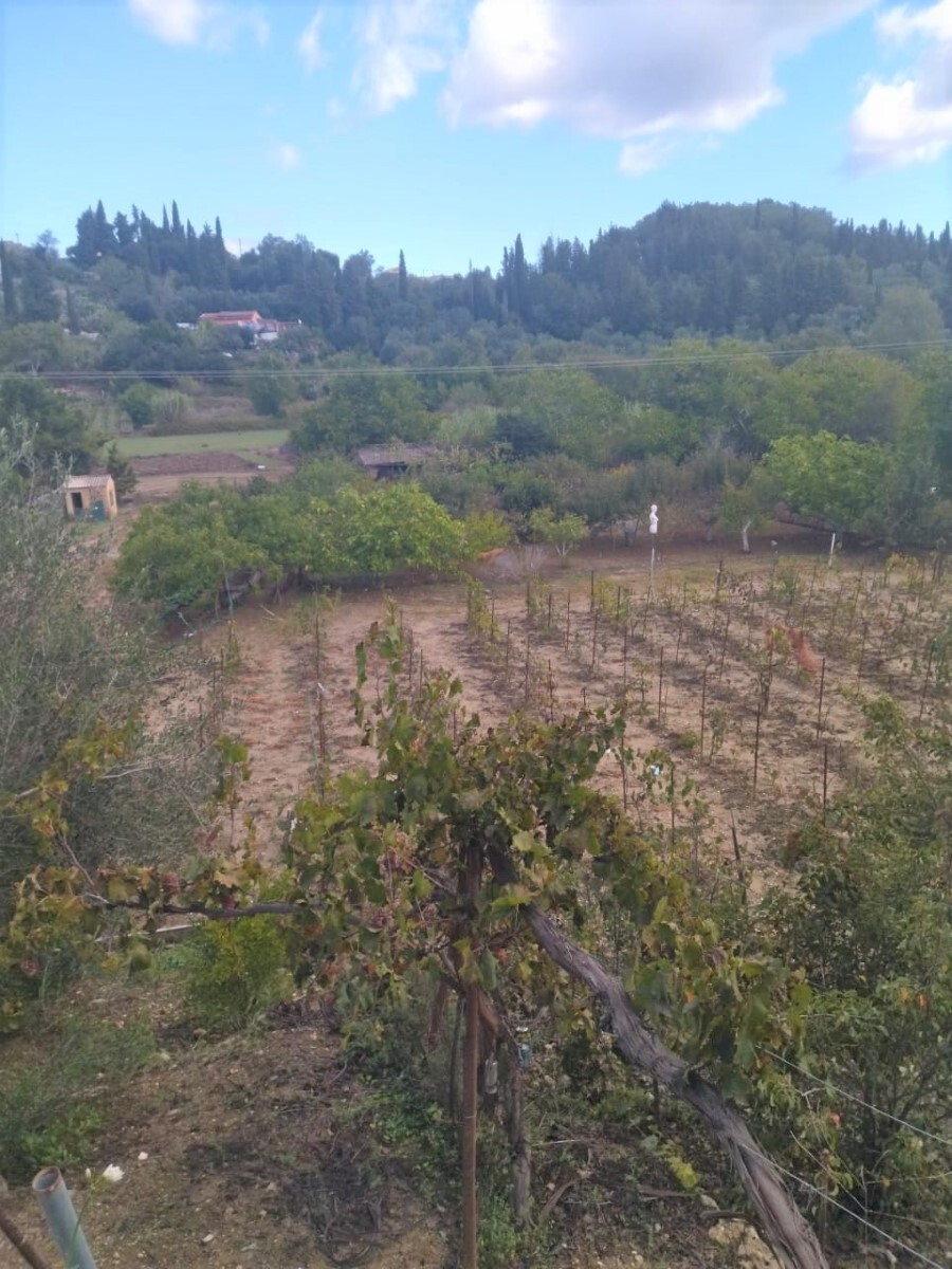 Hotel on Corfu, Greece, 1 000 m² - picture 4