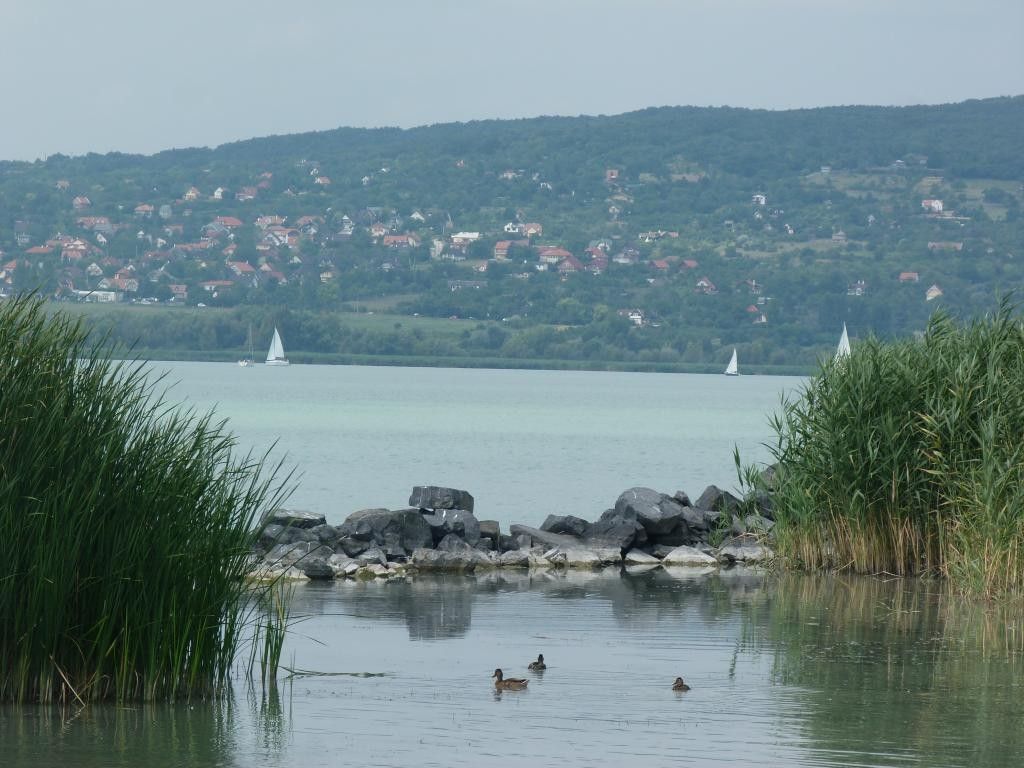 Terrain Balatonfűzfő, Hongrie, 150 000 m² - image 13