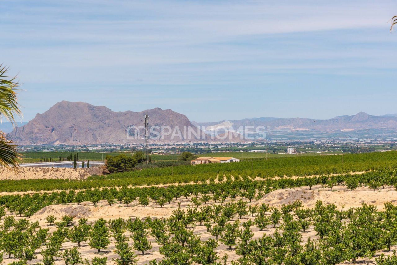 Bungalow in Algorfa, Spain, 103 m² - picture 15