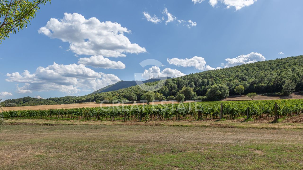 Haus in Cetona, Italien, 487.75 m² - Foto 18