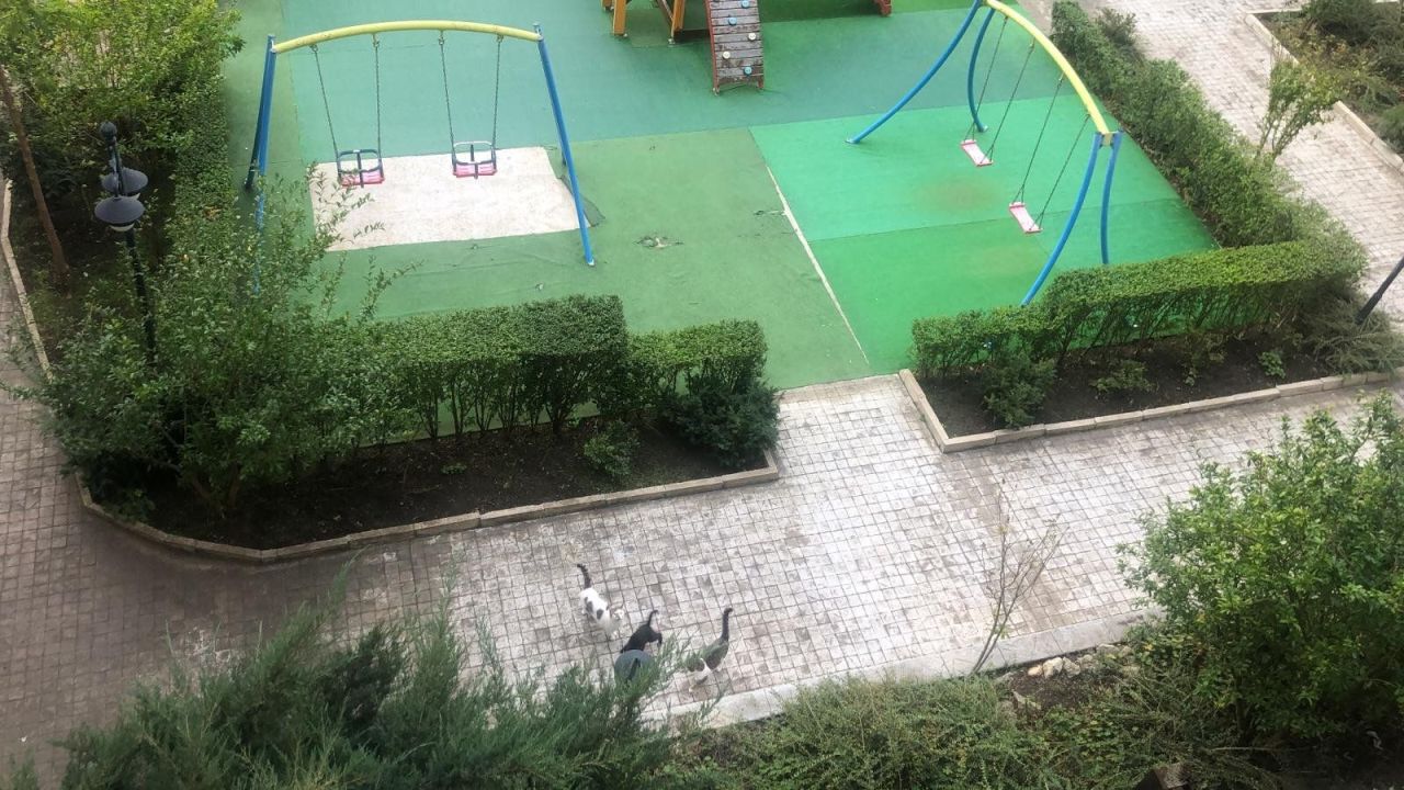 Apartment in Aheloy, Bulgarien, 65 m² - Foto 18