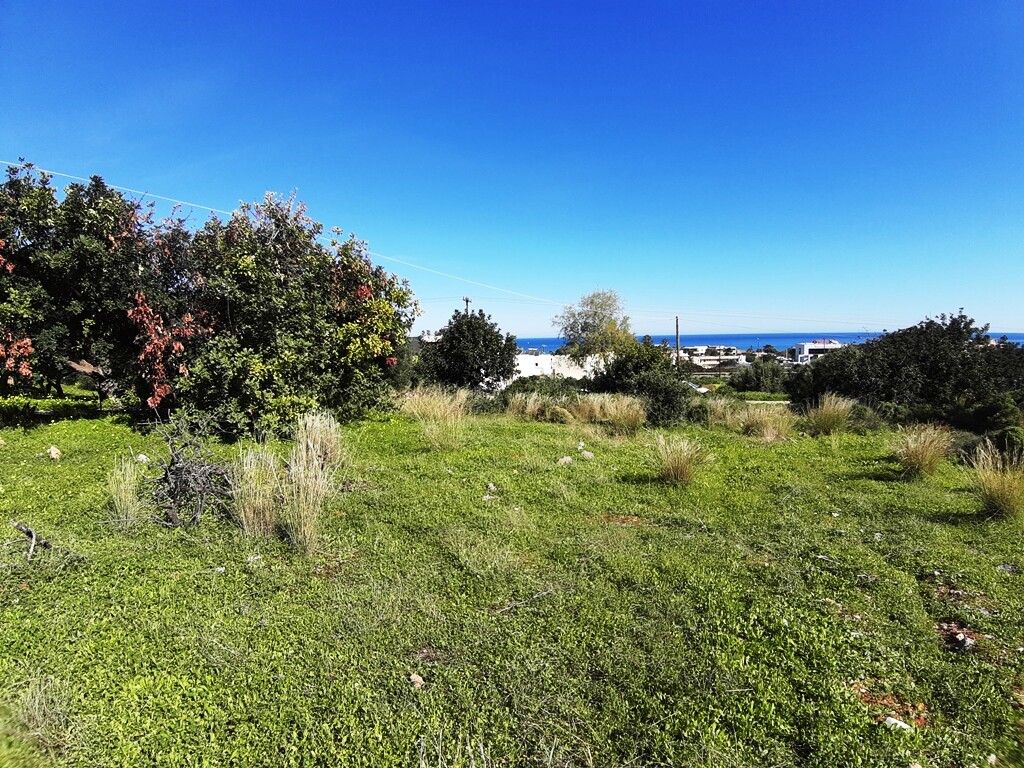 Grundstück in Malia, Griechenland, 24 000 m² - Foto 1