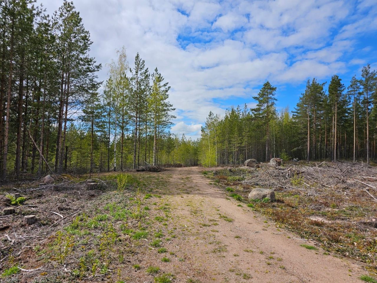 Terreno en Munapirtti, Finlandia, 15 000 ares - imagen 6