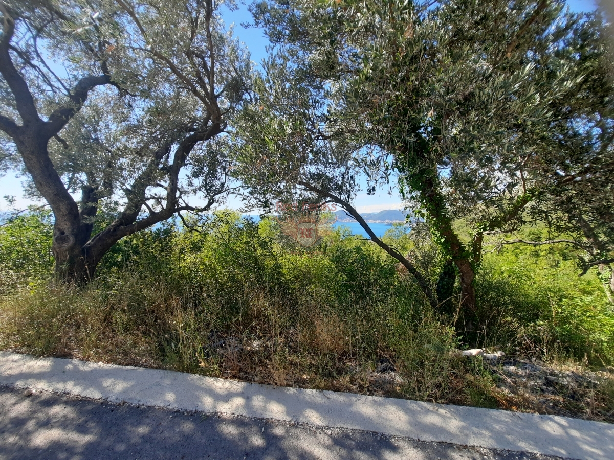 Terrain à Budva, Monténégro, 1 725 m² - image 3