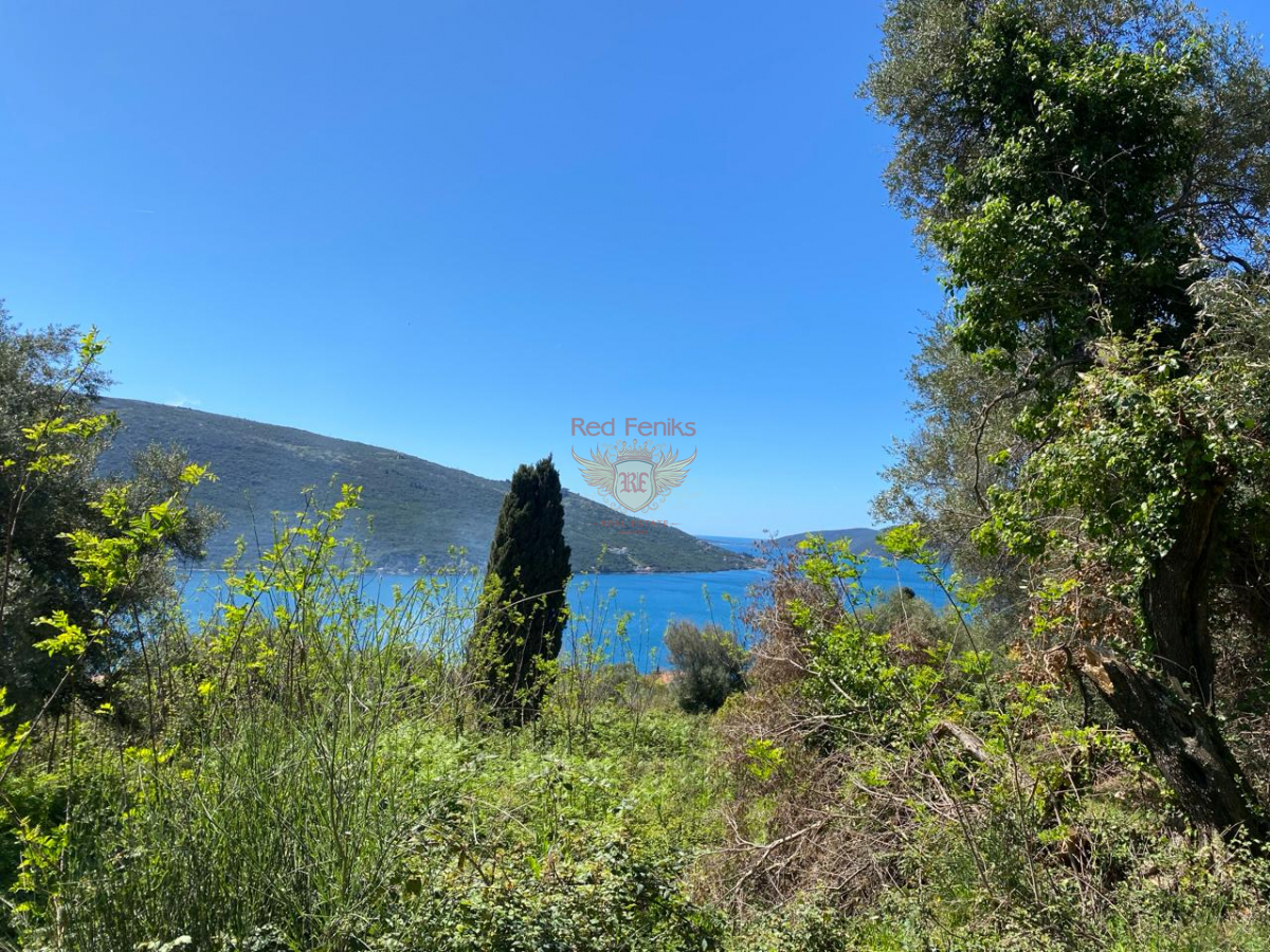 Land in Herceg-Novi, Montenegro, 14 900 m² - picture 4