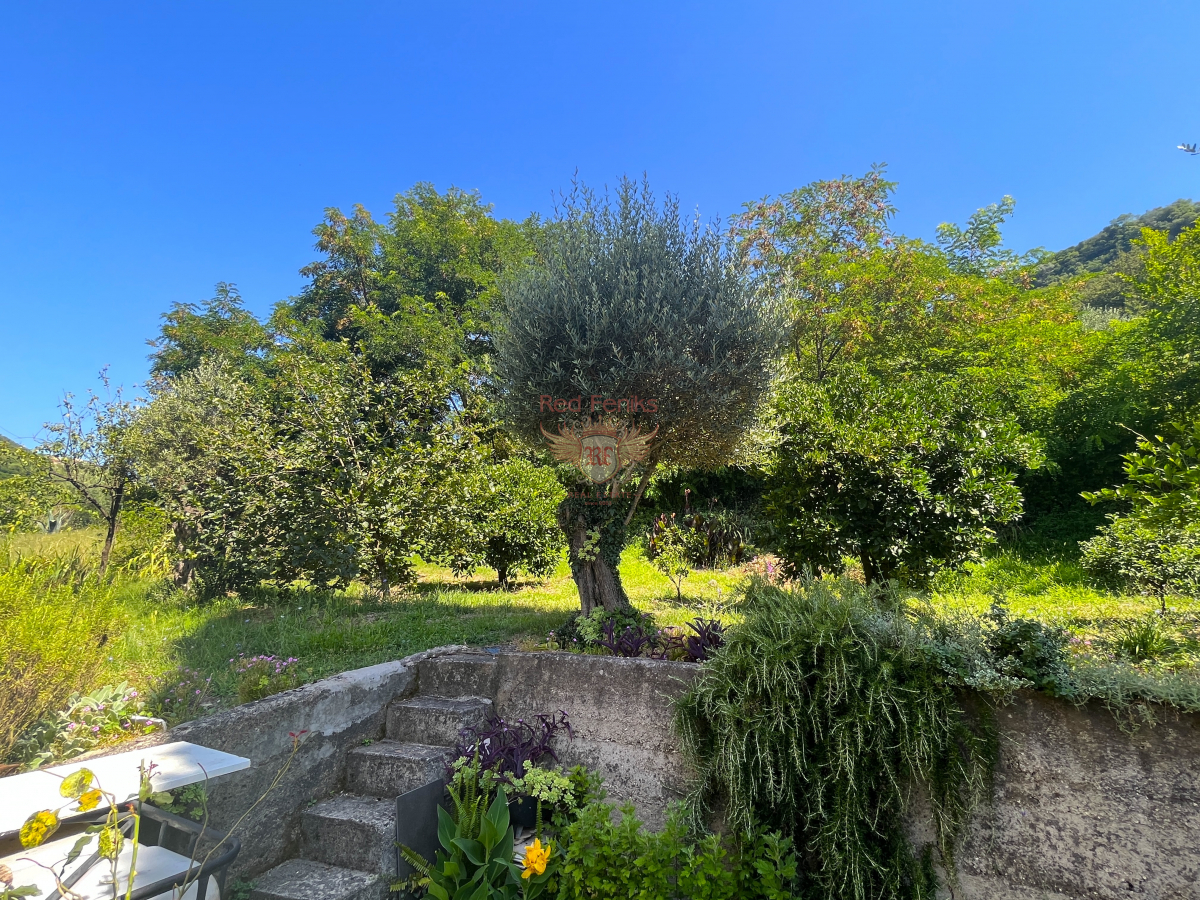 Maison à Budva, Monténégro, 288 m² - image 5