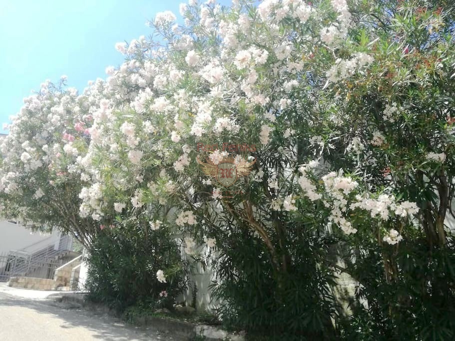 Casa en Budva, Montenegro, 80 m² - imagen 10