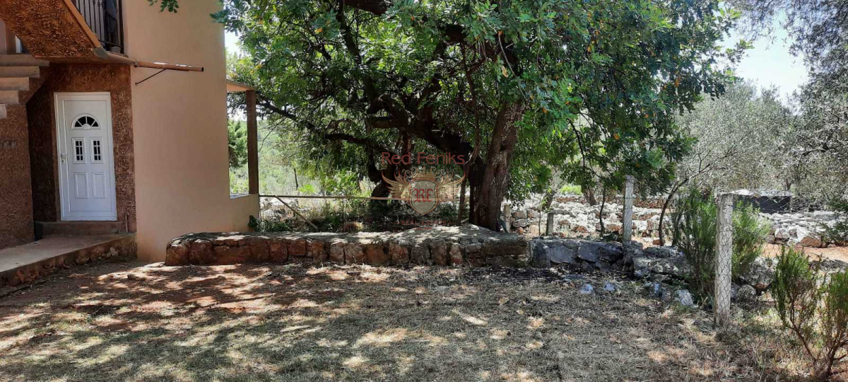 Haus in Halbinsel Luštica, Montenegro, 239 m² - Foto 11