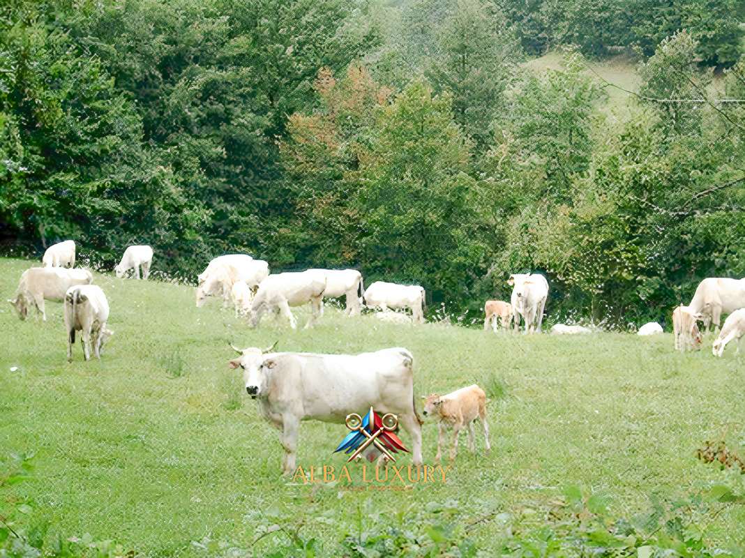 Villa in Pieve Santo Stefano, Italien, 4 100 m² - Foto 18