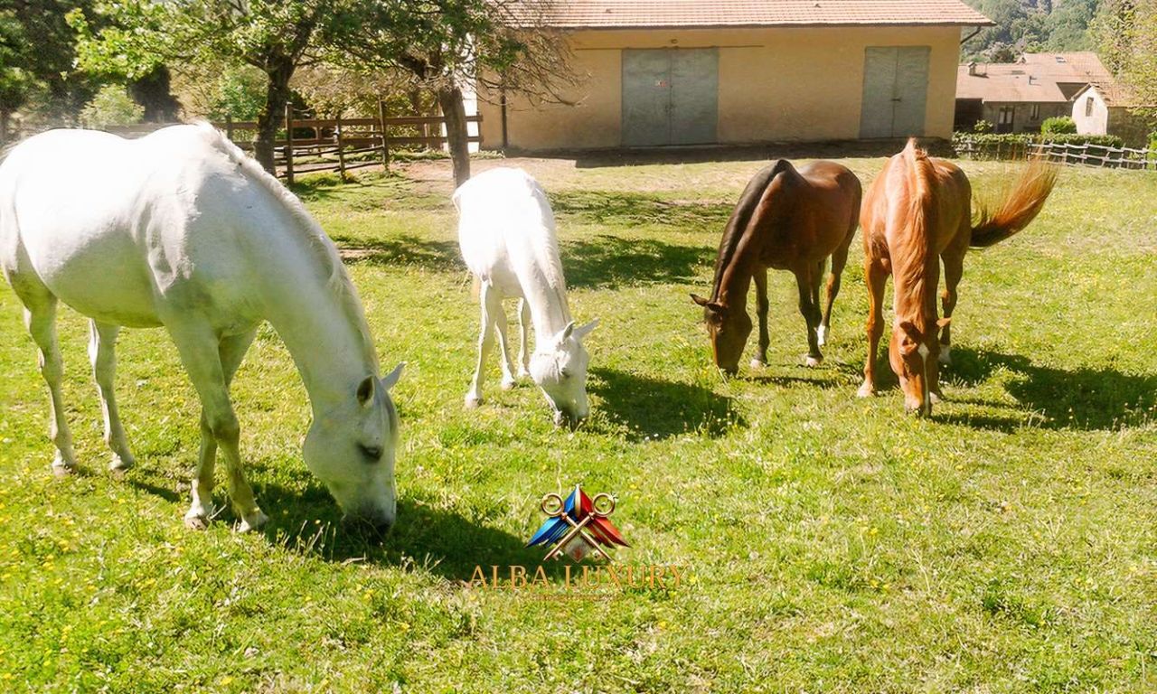 Villa in Pieve Santo Stefano, Italien, 4 100 m² - Foto 19