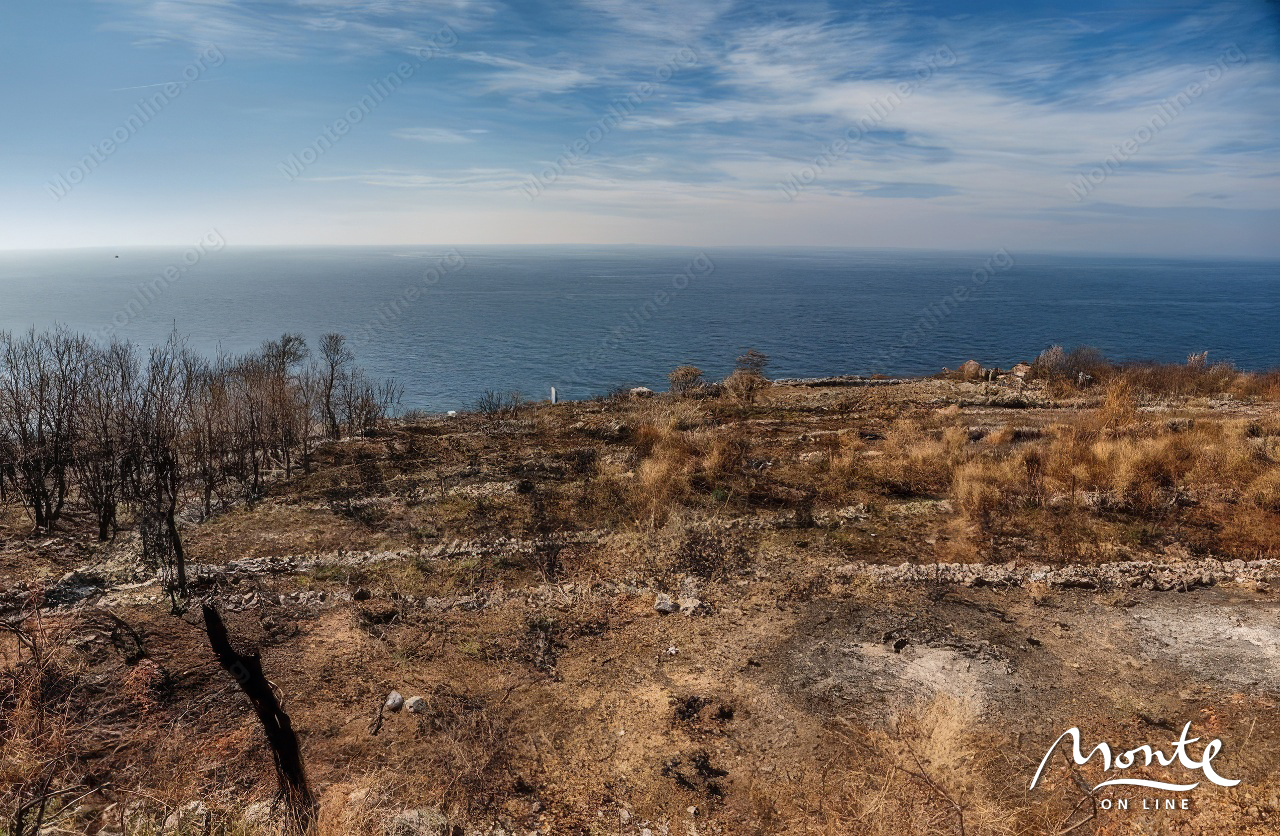 Terreno en Rezevici, Montenegro, 1 000 m² - imagen 2