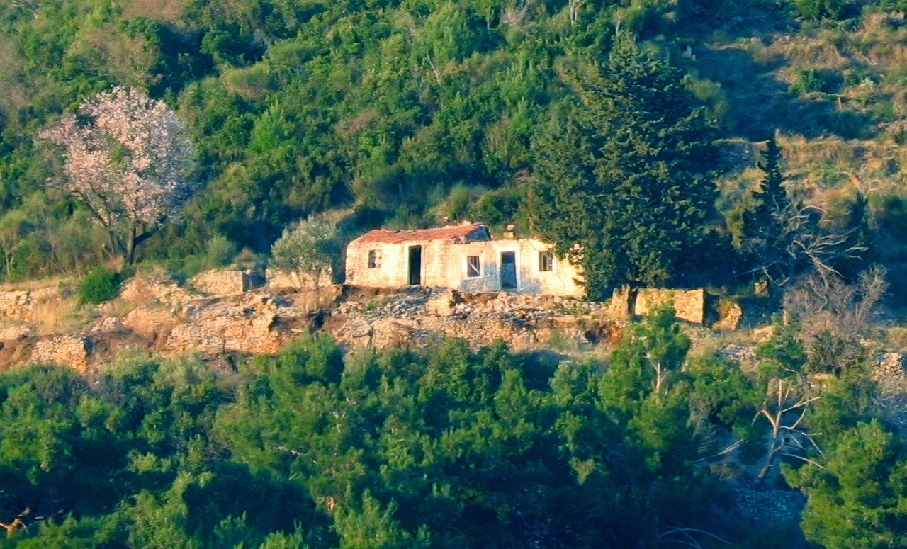 Terrain à Budva, Monténégro, 11 246 m² - image 3