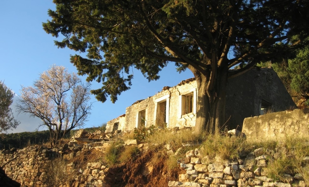 Terrain à Budva, Monténégro, 11 246 m² - image 4