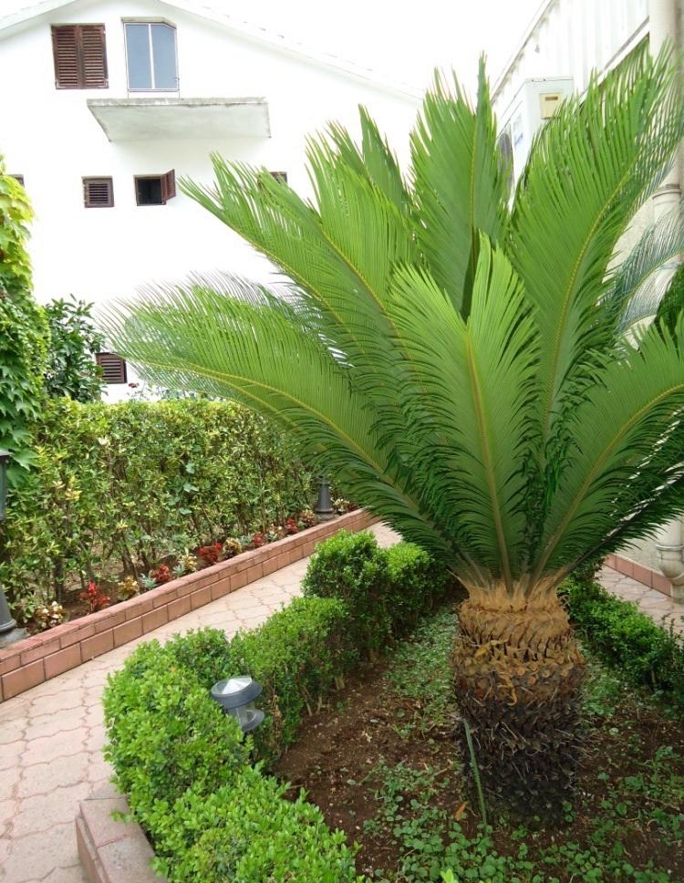 Villa en Budva, Montenegro, 400 m² - imagen 5