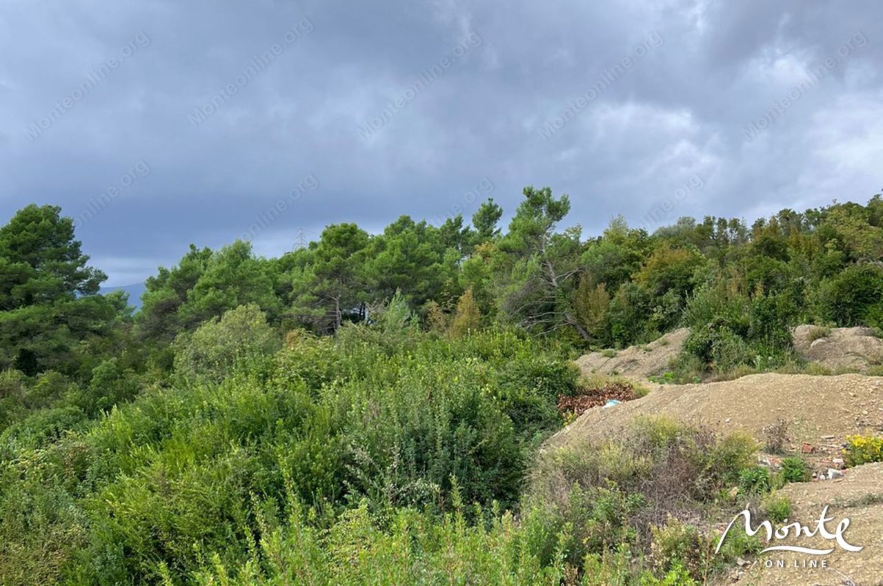 Land in Tivat, Montenegro, 1 219 m² - picture 6